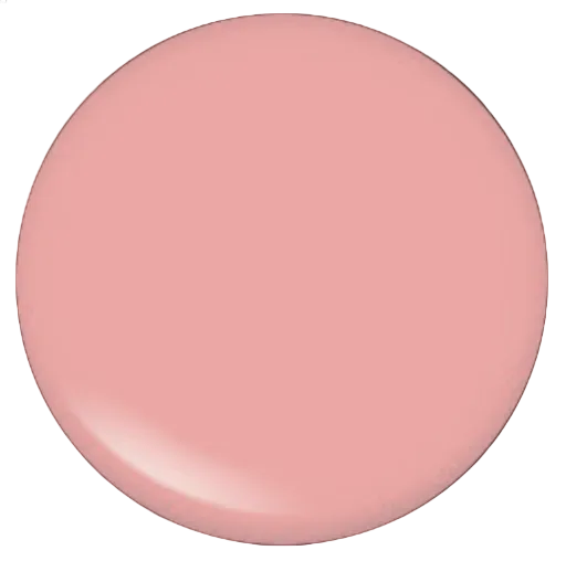 Lipgloss Nearly Naked